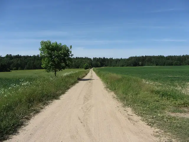 Zum Camino Lituano