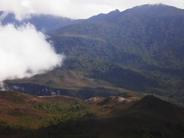 SulSentiero del Gunung Tahan da Kuala Tahan