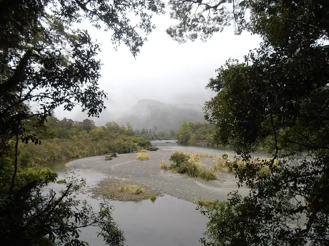 Over de Hollyford Track