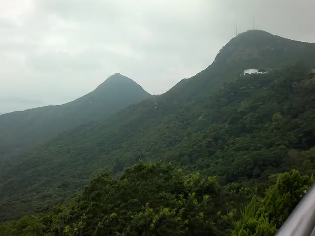 홍콩 트레일에 관하여
