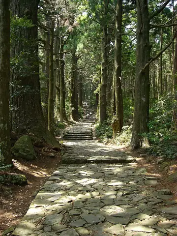 SulKumano Kodo - Nakahechi