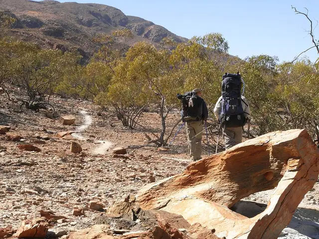 Larapinta Yolu hakkında