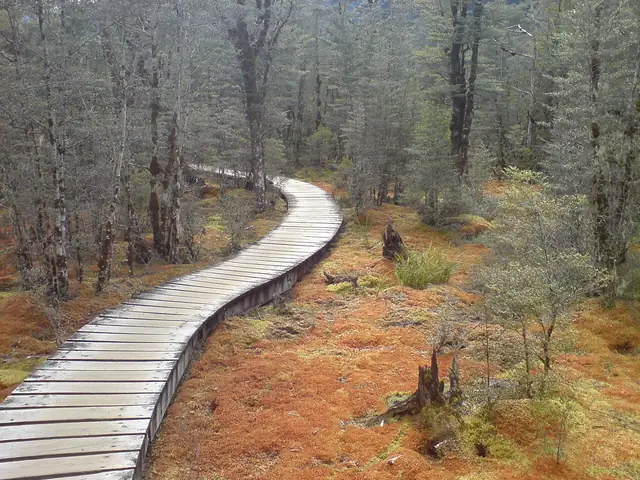 O Milford Tracku