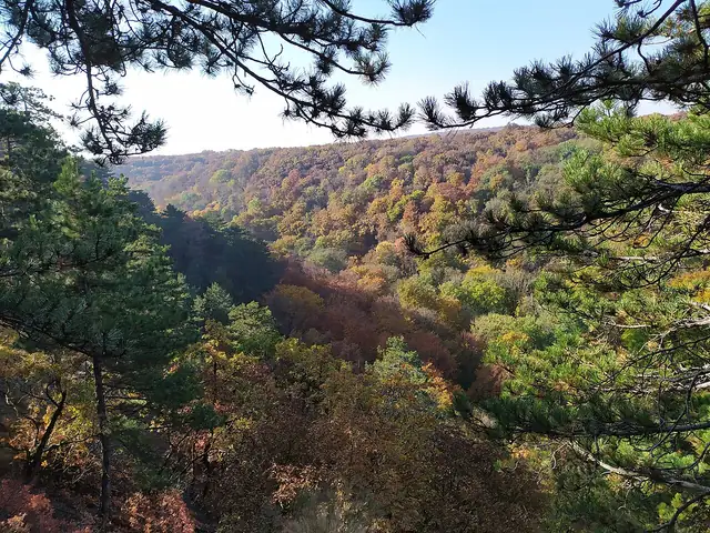 Zum Landesweiter Blauer Wanderweg