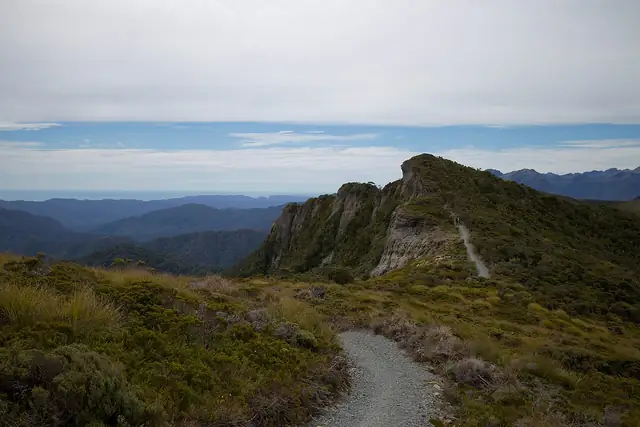 O Paparoa Tracku
