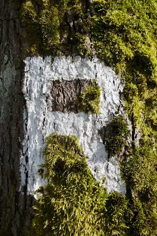Rennsteig hakkında