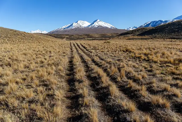 Te Araroa hakkında