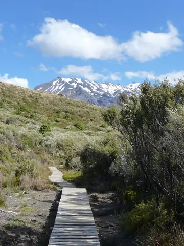 Tongariro Kuzey Turu hakkında