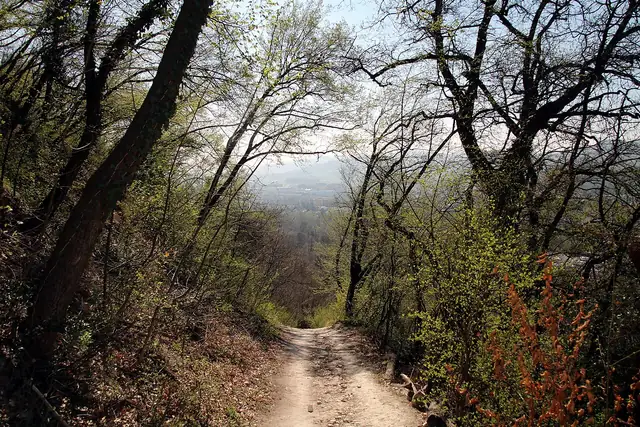 Via degli Dei hakkında