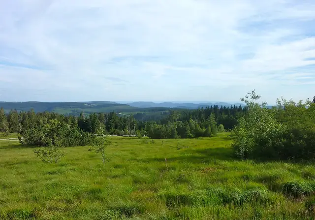 Westweg hakkında