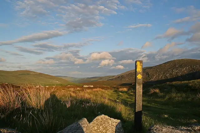 Wicklow Yolu hakkında
